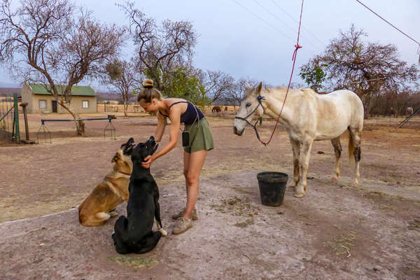 A woman petting two dogs in South Africa
