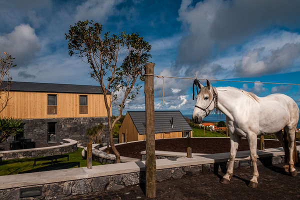 Accommodation Patio Lodge near Cedros, Azores