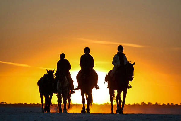 African horse safari in Botswana