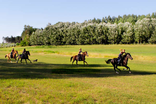 An active trail riding holiday in Hungary