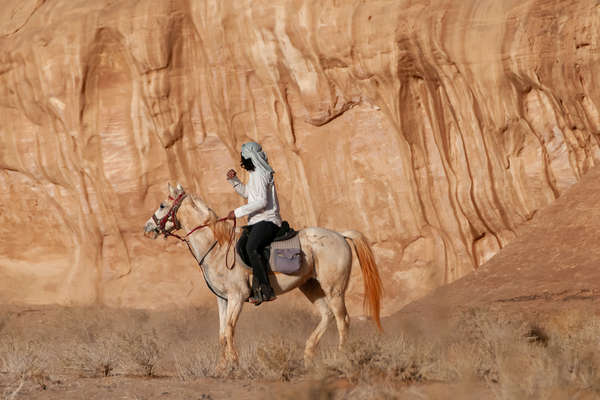 Arabian horse on trail ride in Jordan