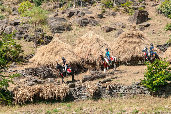 Aravalli Hills trail riding holiday