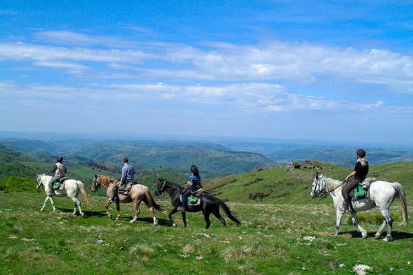 Auvergne on horseback, France
