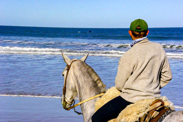 Beach ride on horseback in Uruguay