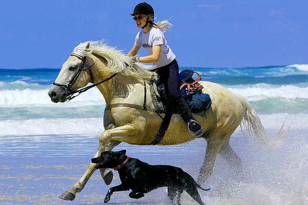 Beach trail ride in the South of France