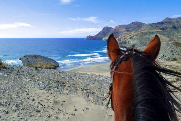 Beautiful photo of a Spanish beach seen between the ears of a horse