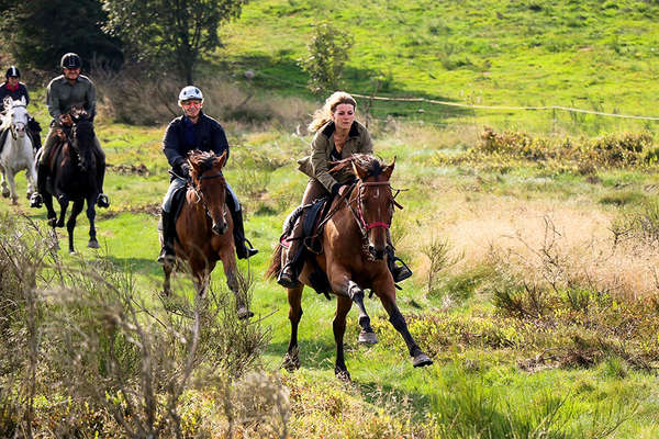 Cantering in France on a trail ride