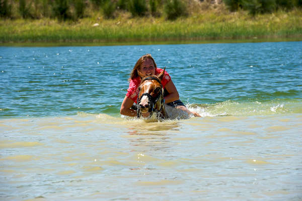 Cape Winelands trail ride, South Africa