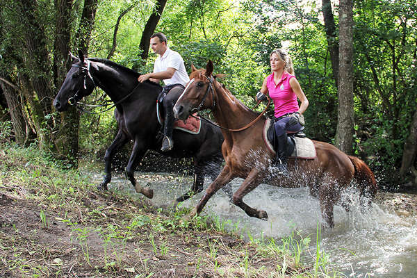 Central Croatia on horseback