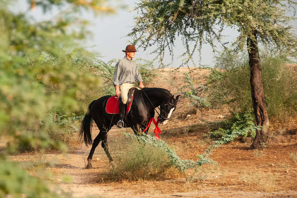 Christophe Leservoisier riding a Marwari horse in India