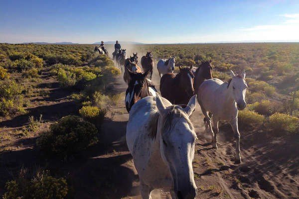Colorado guest ranch holiday at Zapata Ranch