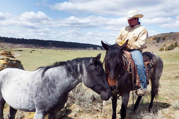 Cowboy in Wyoming, USA