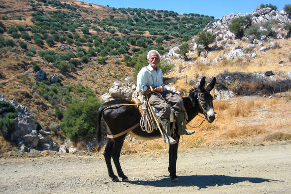 Cretan farmer on a donkey7