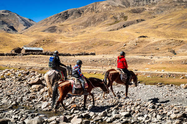 Criollo horses on the High Inca trail ride