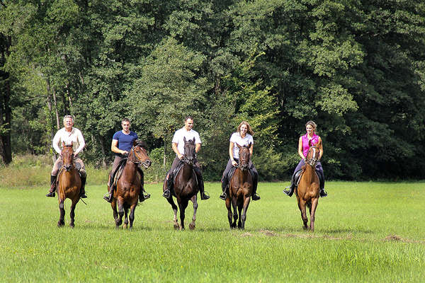 Croatia on horseback