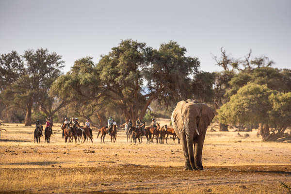 Damaraland safari in Namibia