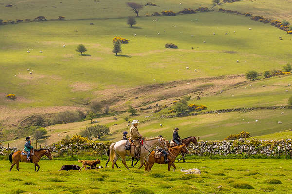 Dartmoor riding holidays in England