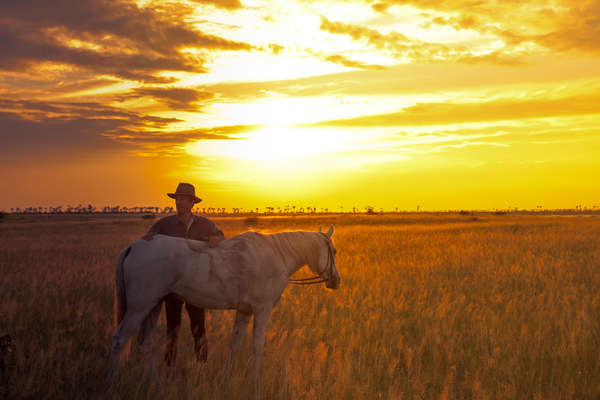 David Foot and horse on an African horse safari