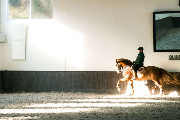 Dressage lesson at Quinta do Rol