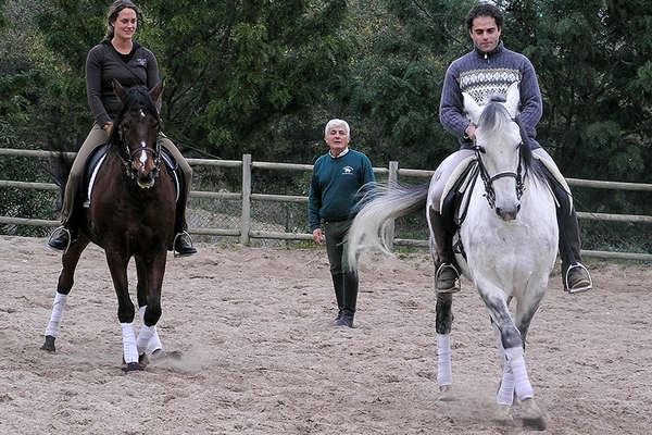 Dressage riding in Portugal