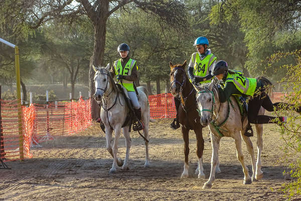 Endurance race in Namibia