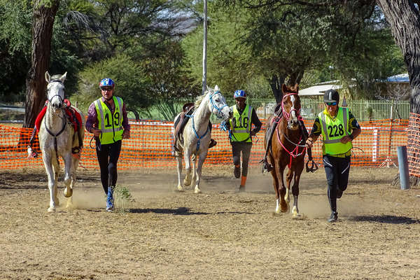 Endurance riders getting ready for an endurance race