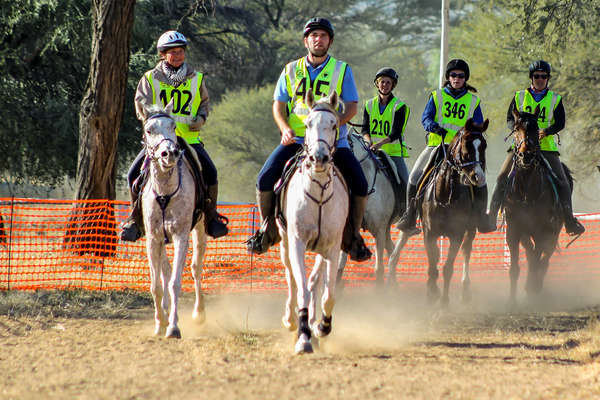 Endurance riding in Namibia