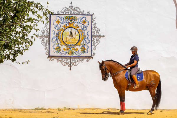 Epona Equestrian centre in Spain
