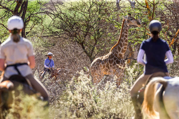 Family riding safaris in Namibia