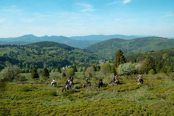 France North East horseriding trail