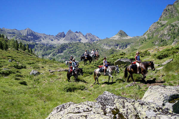 French mountains on horseback