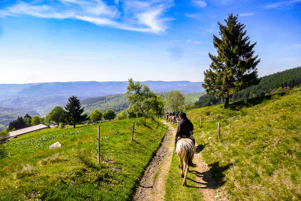 French riding holiday in Alsace