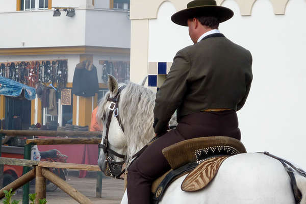 Golega Fair in Portugal