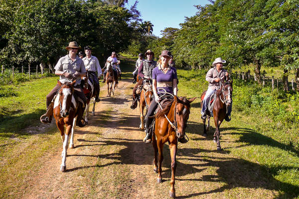 Group of horseback riders in Cuba
