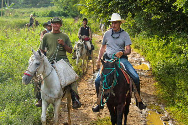 Group of horseback riders in Cuba