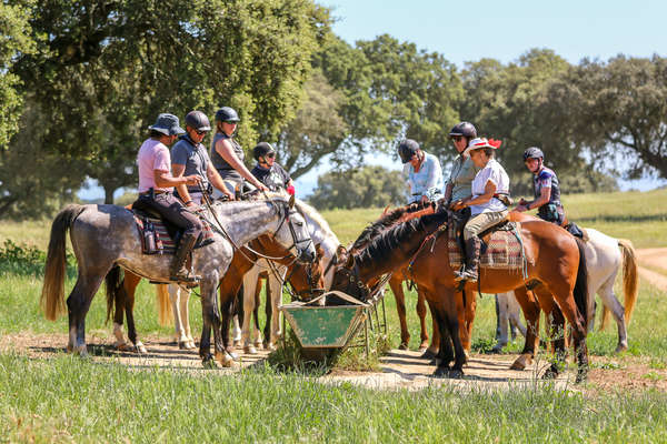 Group of horseback riders letting their horses have a drink in Portugal