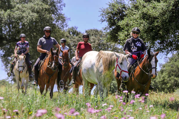 Group of horseback riders with a loose horse