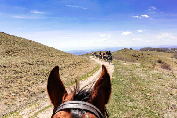 Group of riders captured between the ears of a horse