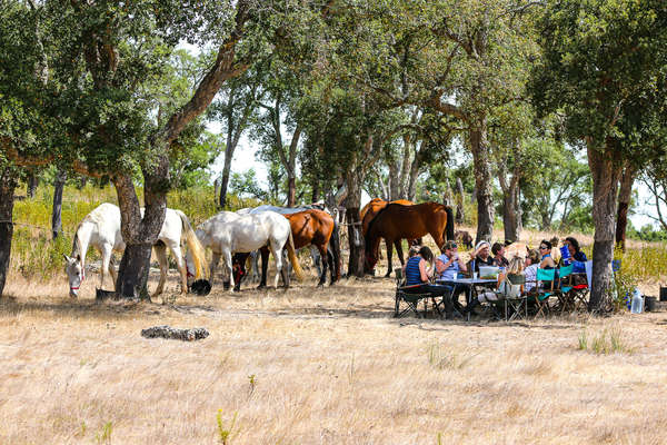 Group of riders enjoying a sit down picnic in Portugal on the Alentejo