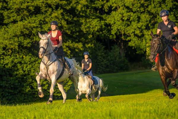 Group of riders enjoying an active riding holiday in Poland