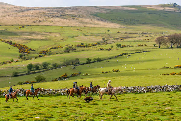 Group of riders in Dartmoor