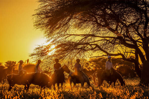 Group of riders in the golden hours on a safari in Africa