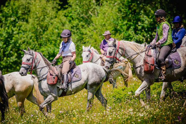 Group of riders in Tranyslvania, Romania