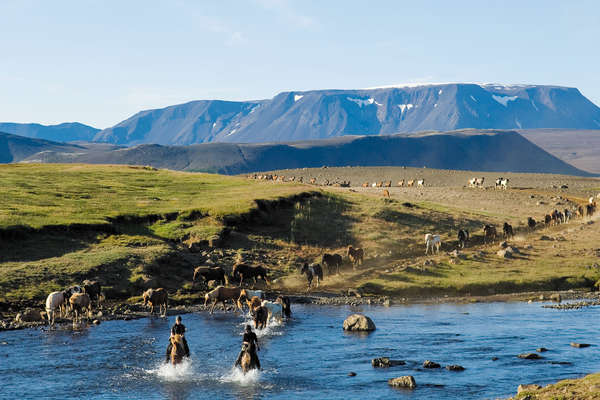 Group of riders on a horseback vacation in Iceland
