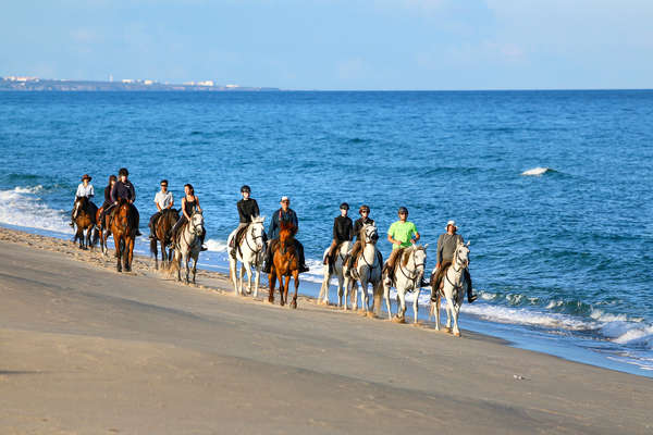 Group of riders on a horseback vacation riding on the beach in Portugal