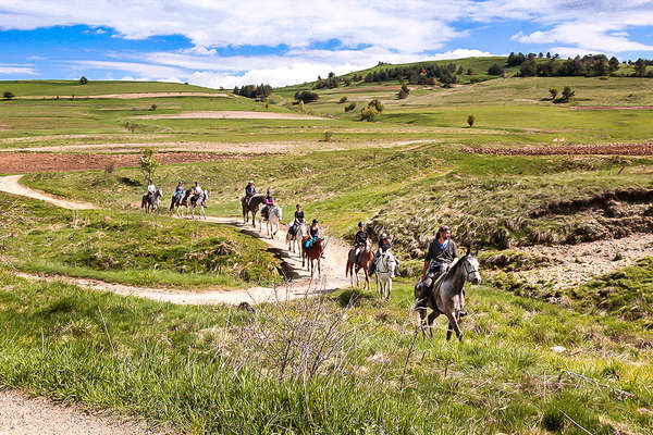 Group of riders on a riding holiday in Bulgaria