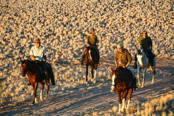 Group of riders on a sunset ride in Namibia