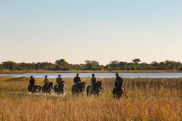 Group of riders on a sunset ride in the Okavango delta during a horseback safari
