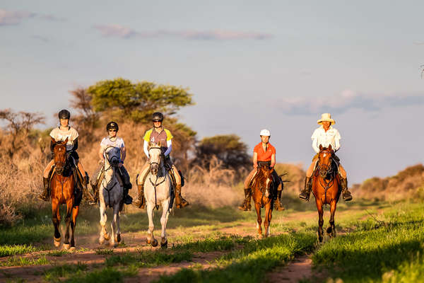 Group of riders on a sunset safari ride