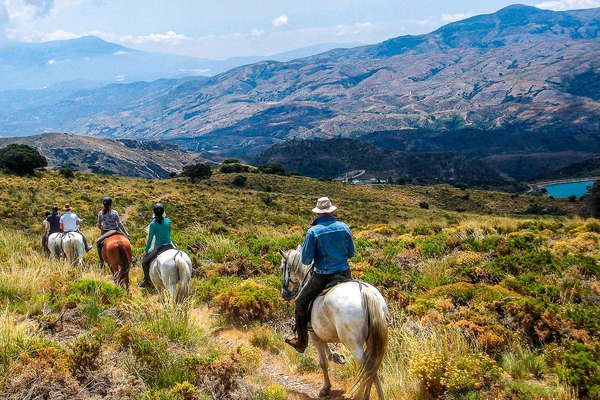 Group of riders on a trail ride in Andalucia, Spain